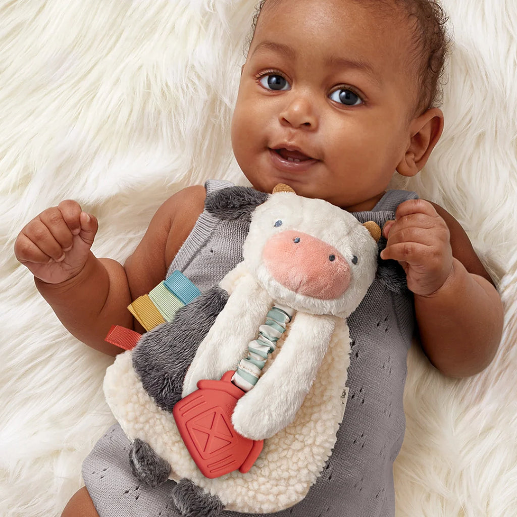 Baby Teether and Plush Lovey