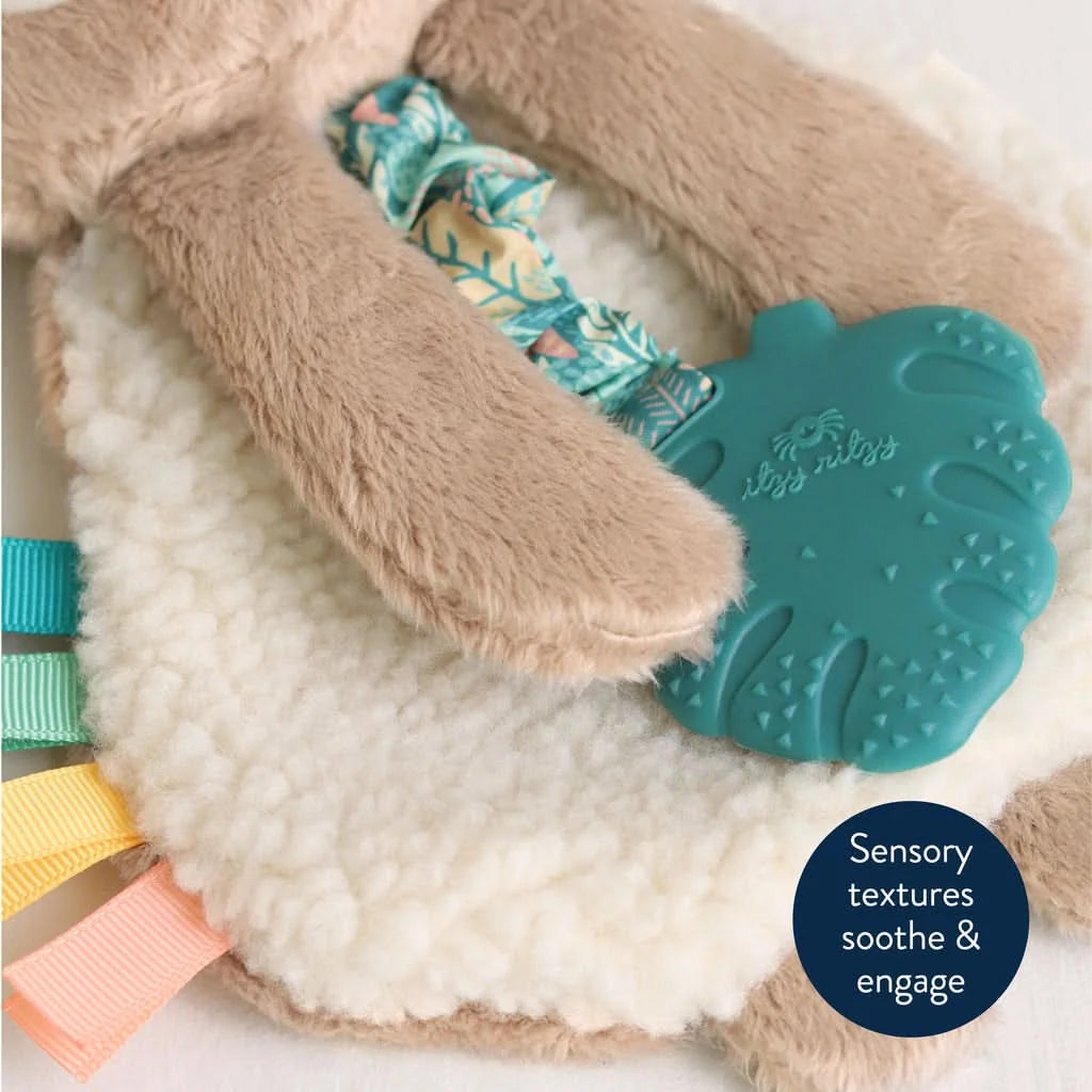 Baby Teether and Plush Lovey