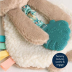 Baby Teether and Plush Lovey
