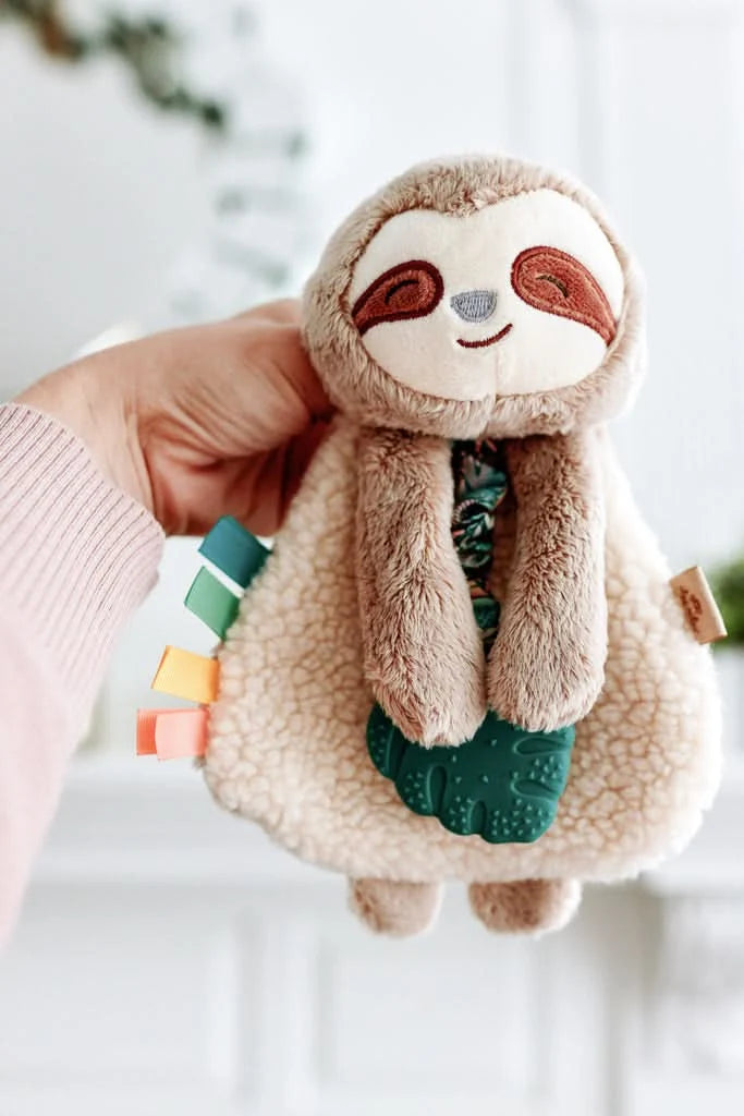Baby Teether and Plush Lovey