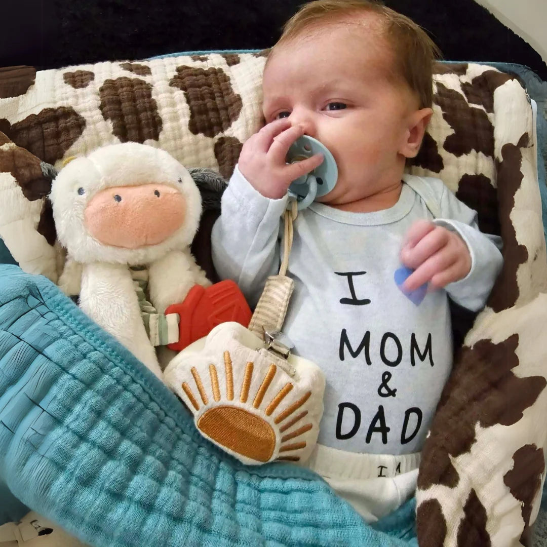 Baby Teether and Plush Lovey