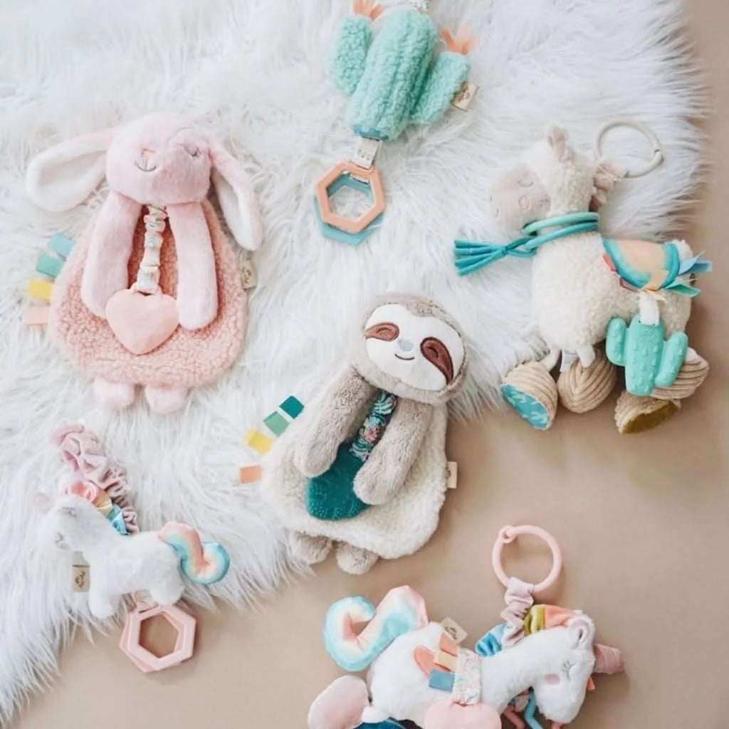 Baby Teether and Plush Lovey