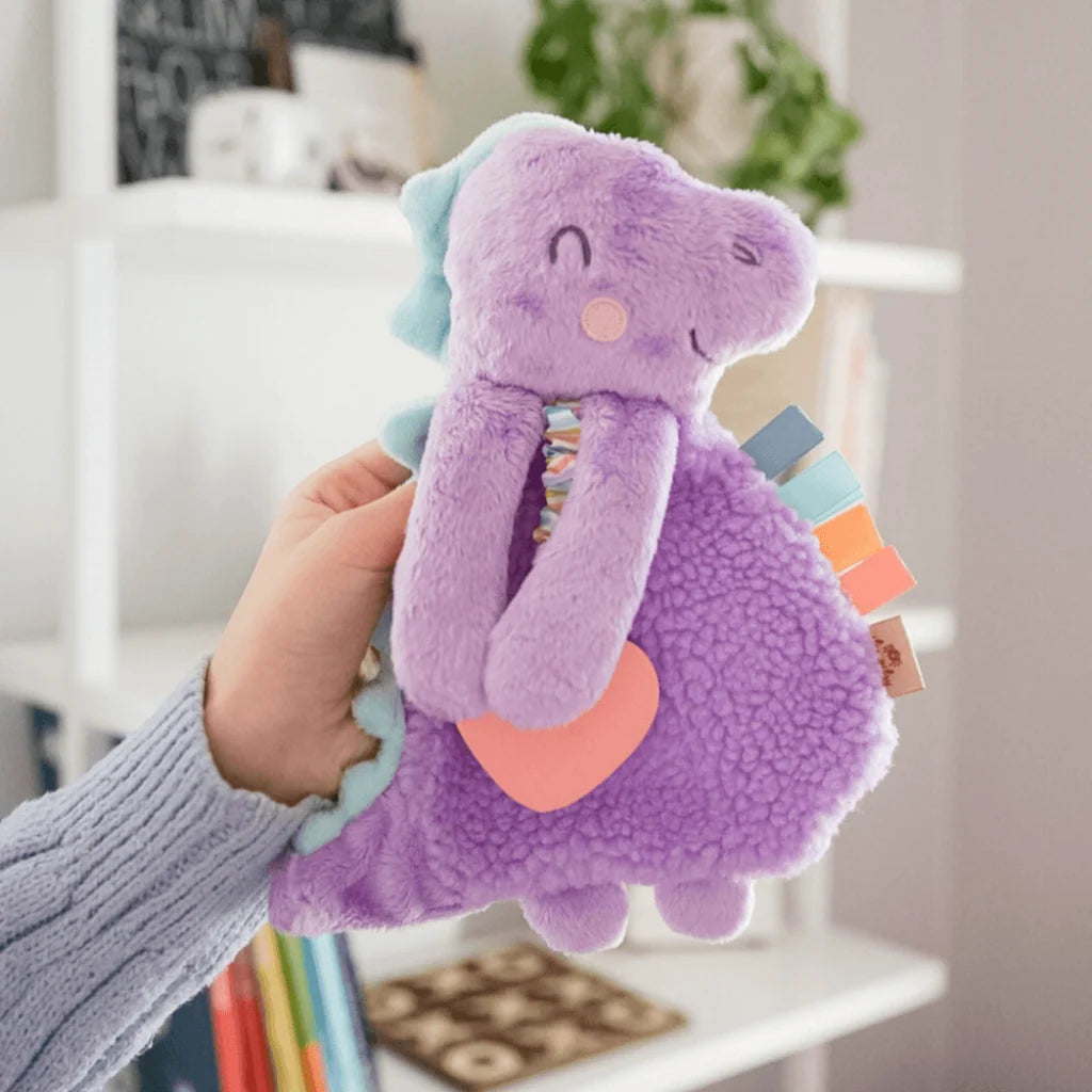 Baby Teether and Plush Lovey