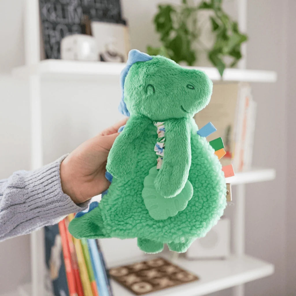 Baby Teether and Plush Lovey