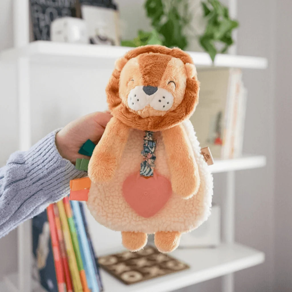 Baby Teether and Plush Lovey