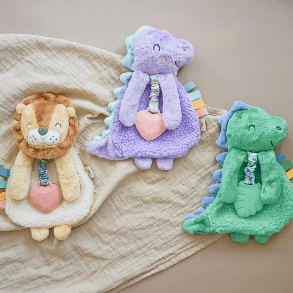 Baby Teether and Plush Lovey