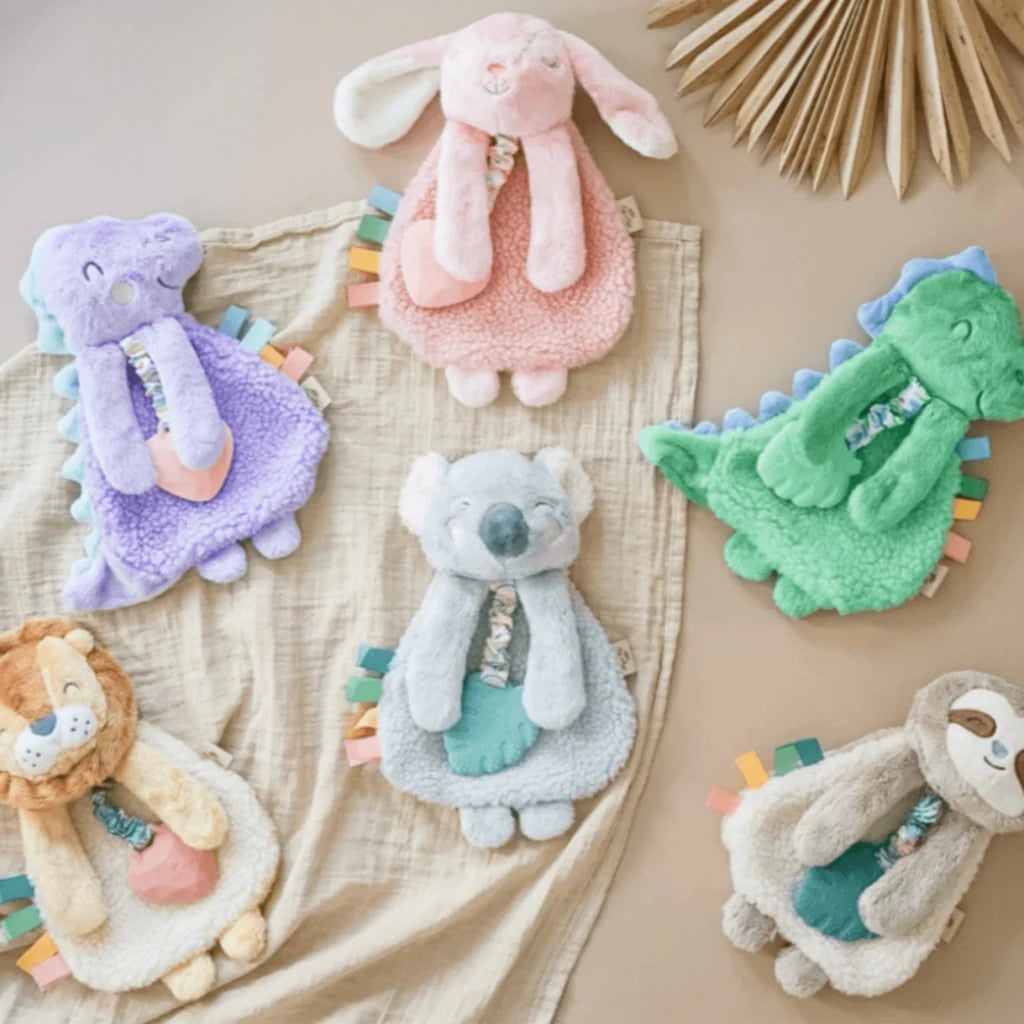 Baby Teether and Plush Lovey