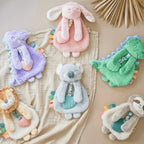 Baby Teether and Plush Lovey