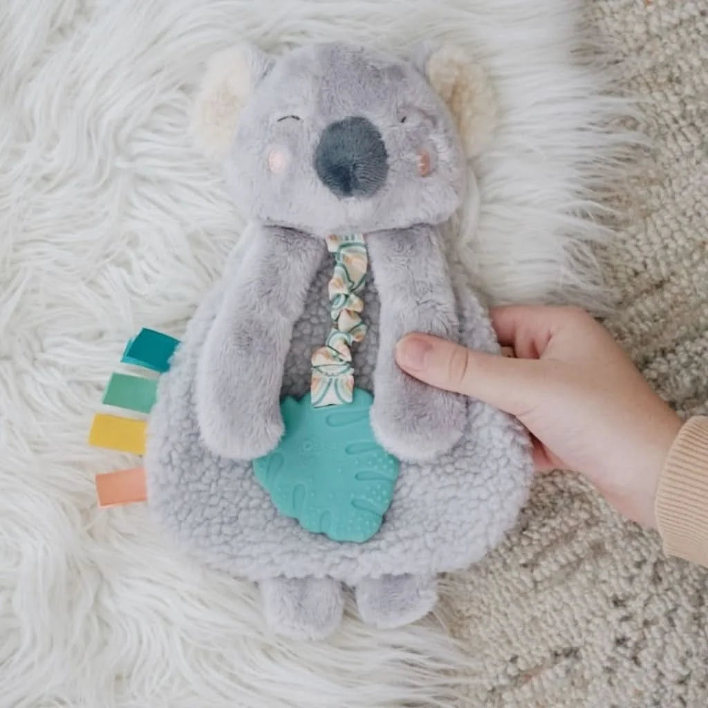 Baby Teether and Plush Lovey