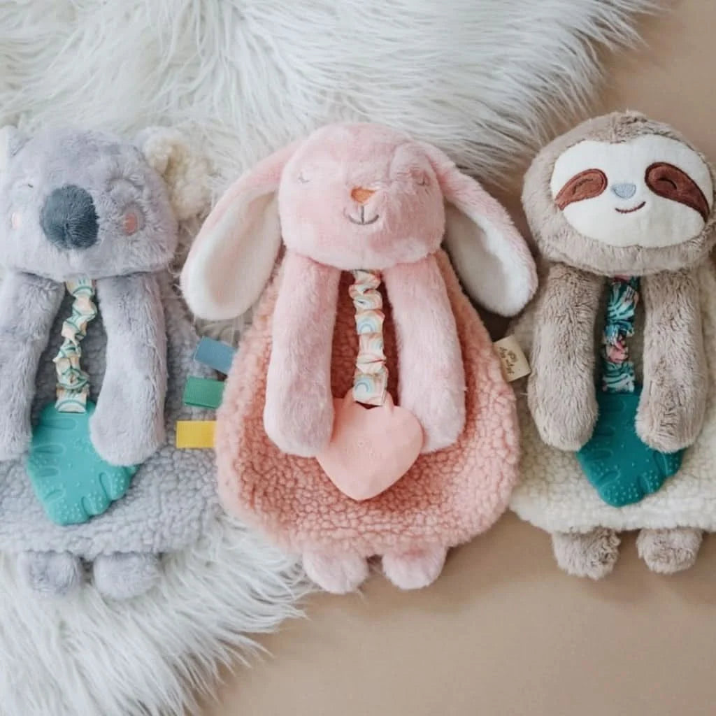 Baby Teether and Plush Lovey