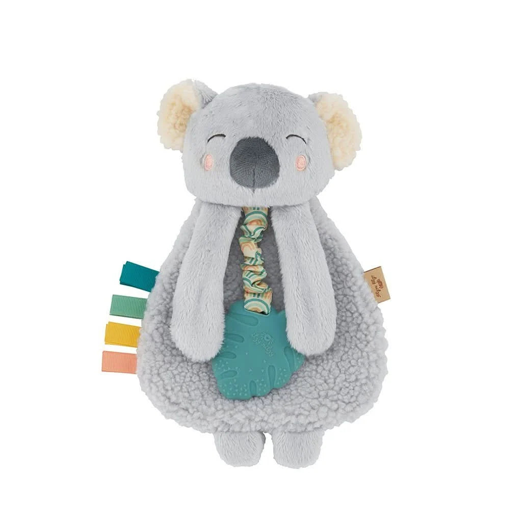 Baby Teether and Plush Lovey