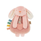 Baby Teether and Plush Lovey