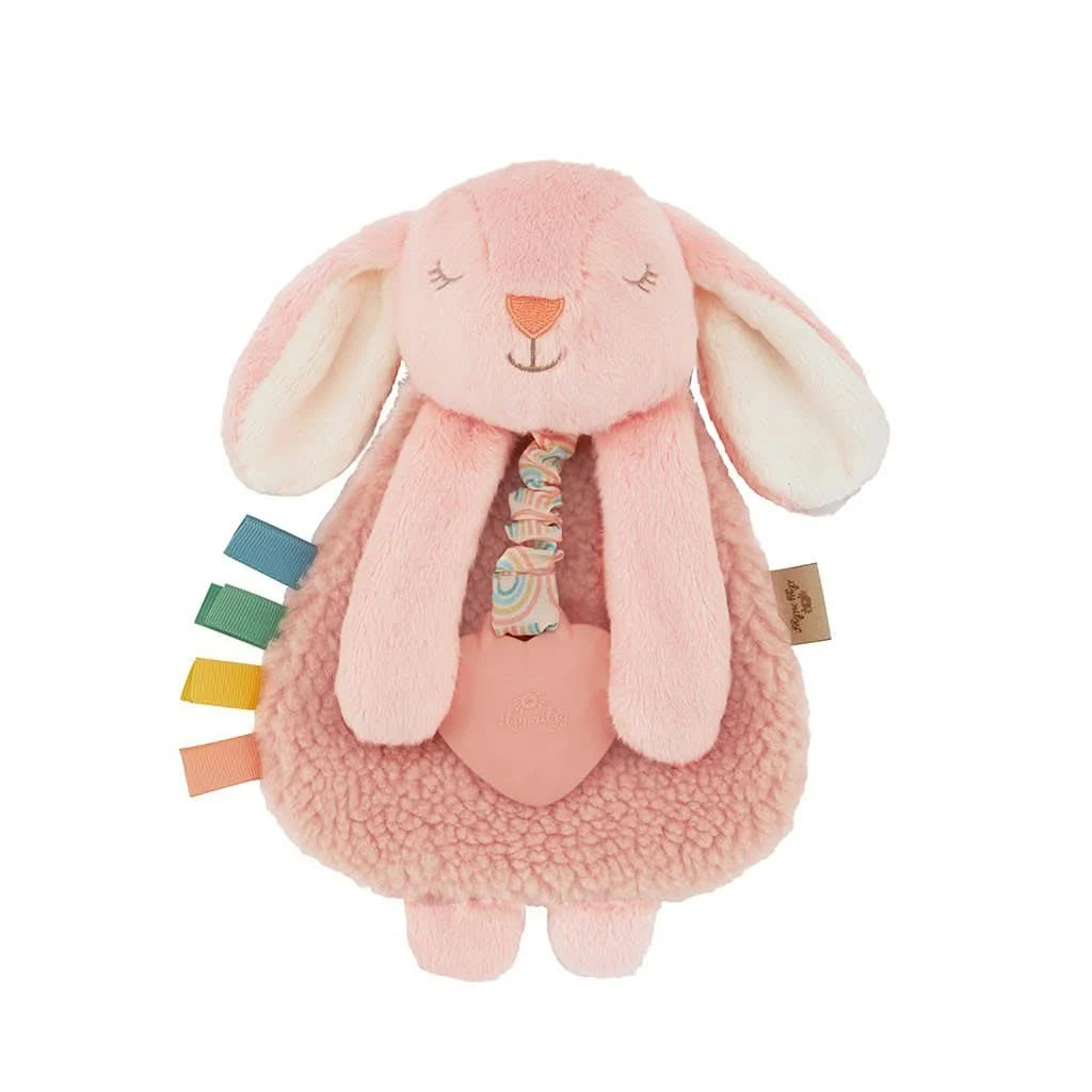 Baby Teether and Plush Lovey