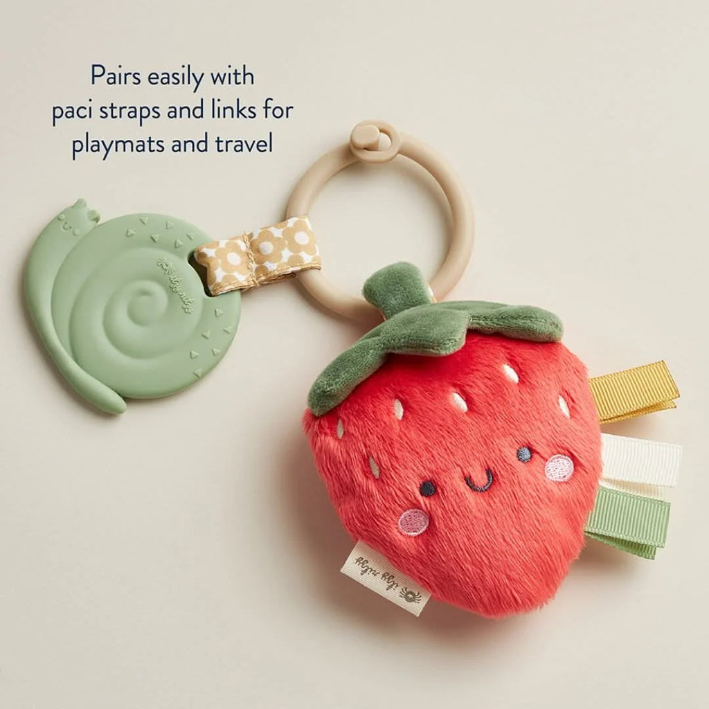 Baby Teether