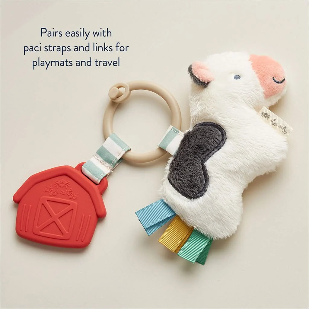 Baby Teether