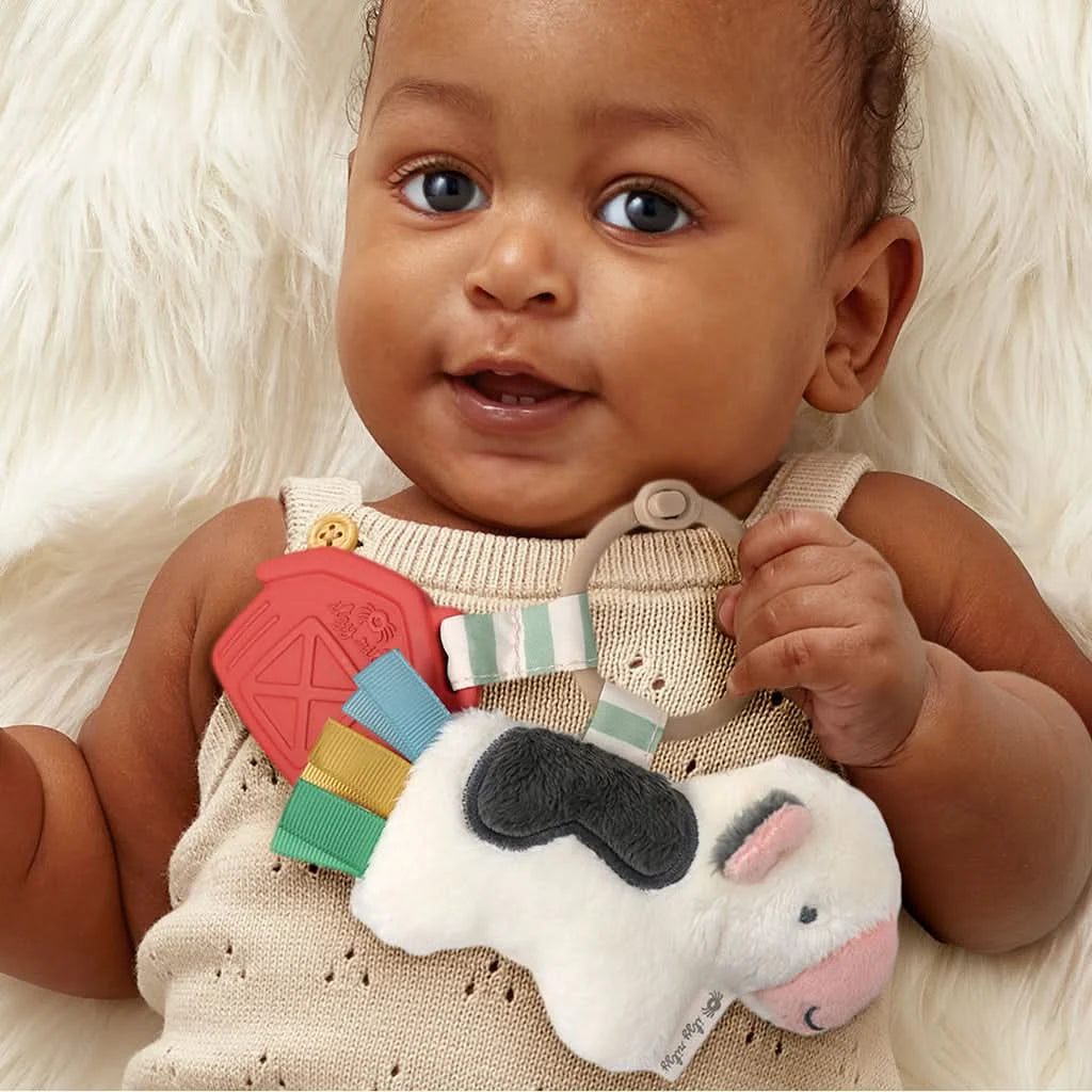 Baby Teether