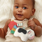 Baby Teether