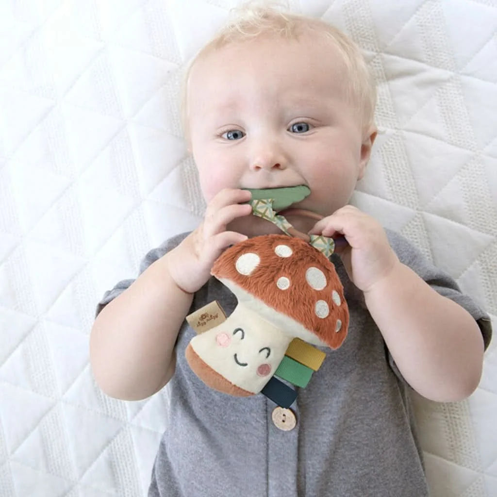 Baby Teether