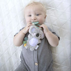Baby Teether
