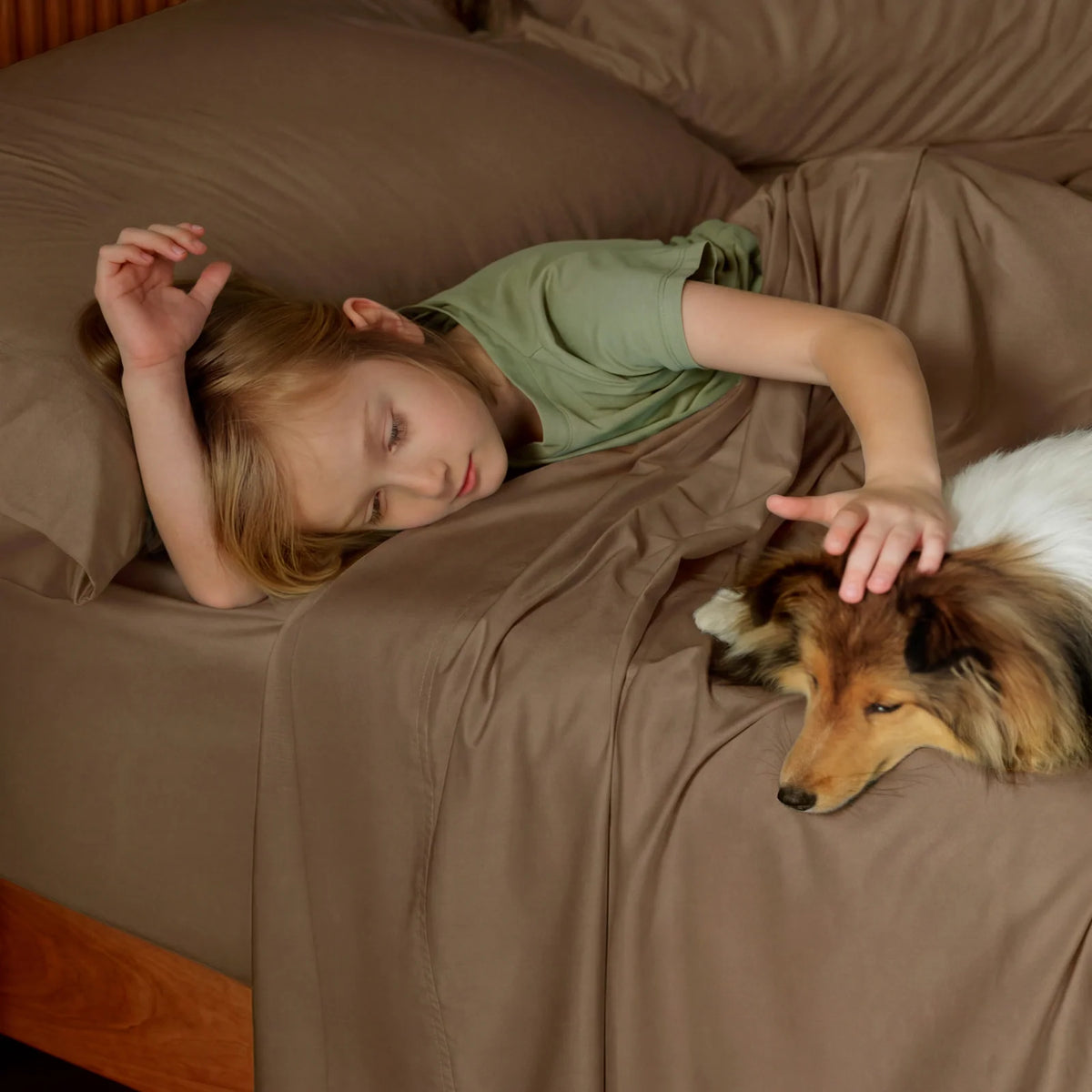 Bamboo-Derived Rayon Sheet Set