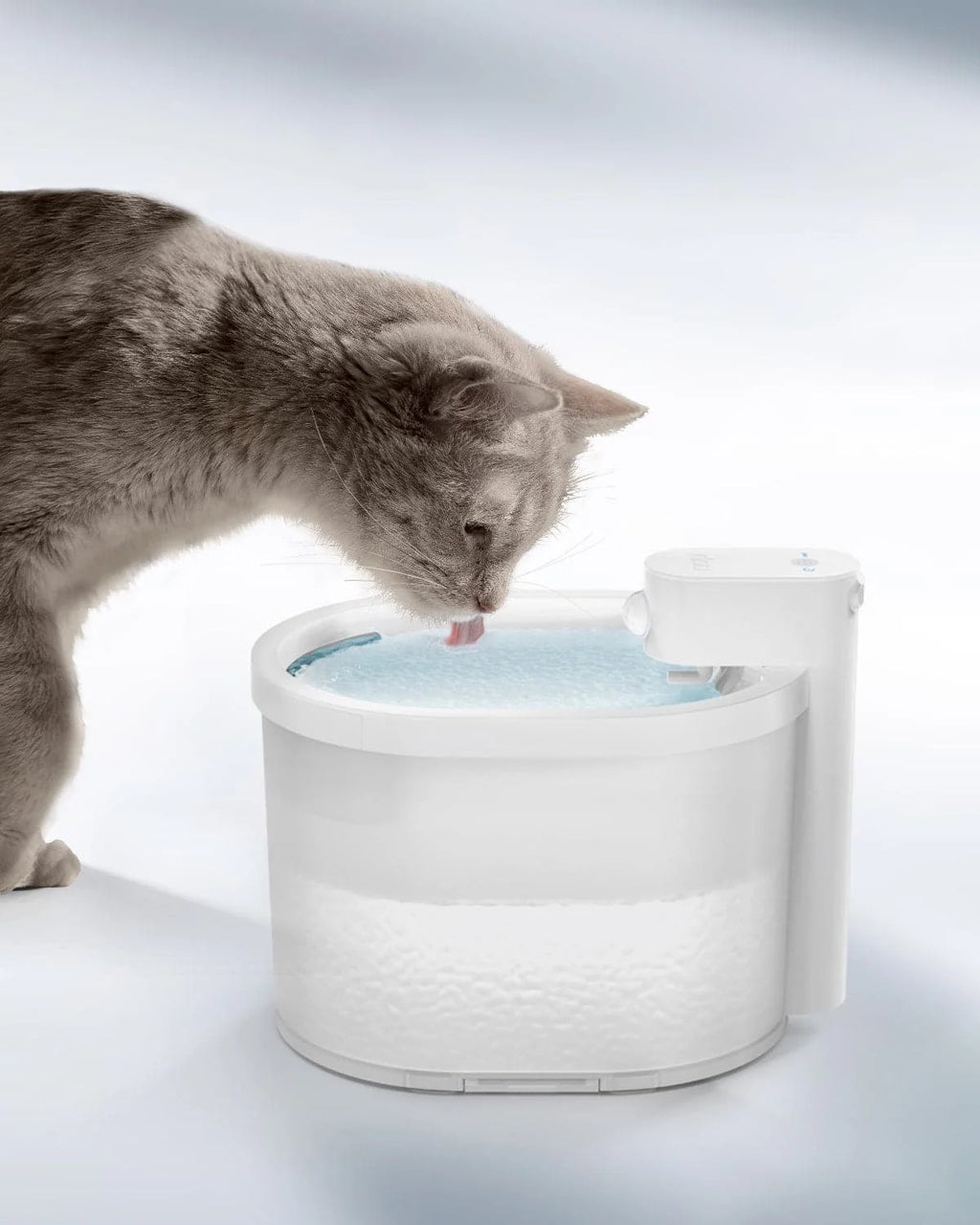 Battery-Operated Cat Water Fountain