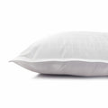 Bed Pillows
