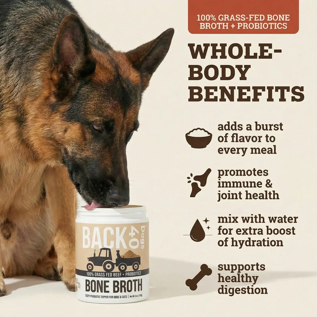 Beef Bone Broth Powder for Dogs with Probiotics, Made from Grass-Fed Bones for Savory Meal Topping