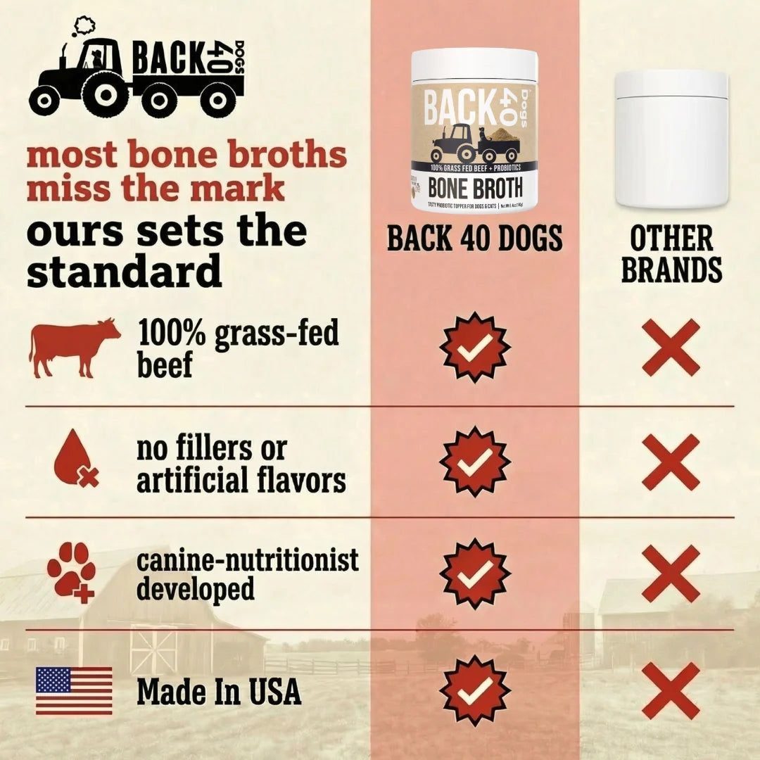 Beef Bone Broth Powder for Dogs with Probiotics, Made from Grass-Fed Bones for Savory Meal Topping