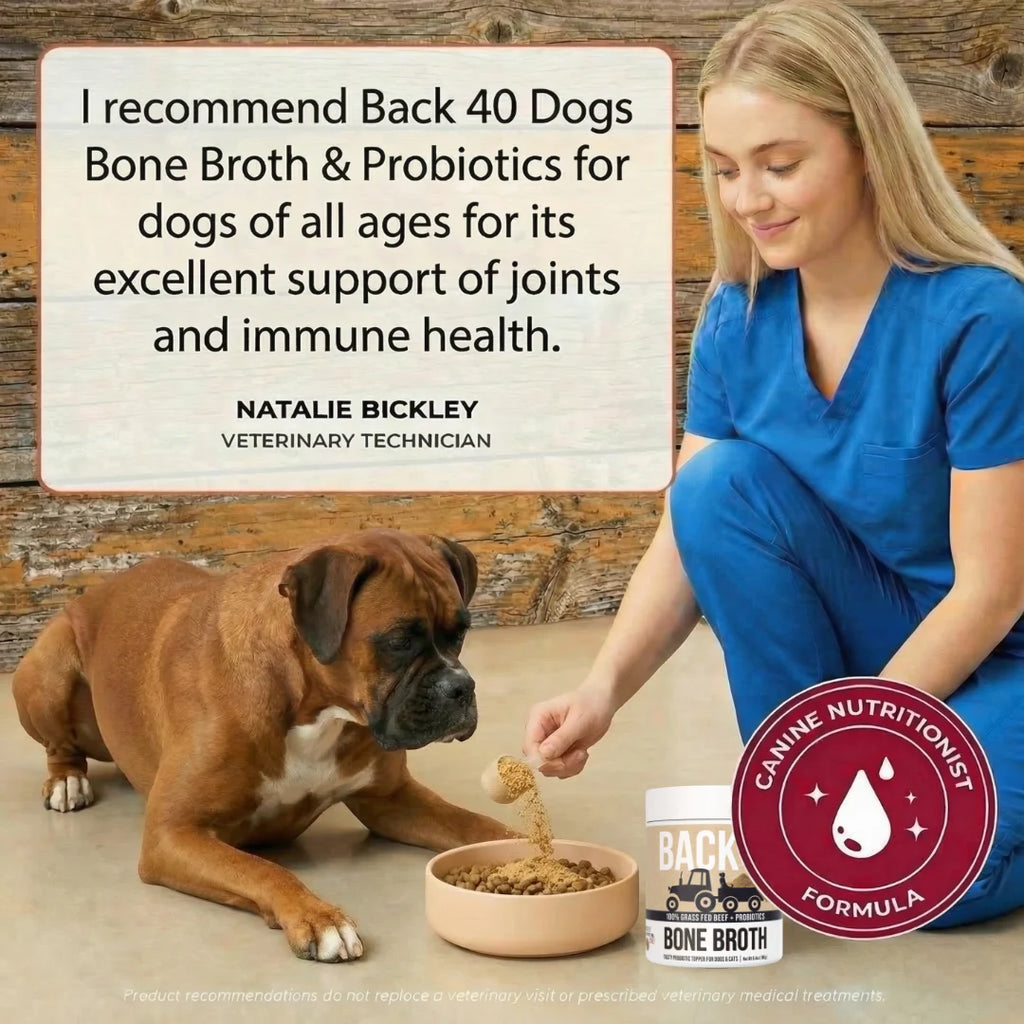 Beef Bone Broth Powder for Dogs with Probiotics, Made from Grass-Fed Bones for Savory Meal Topping