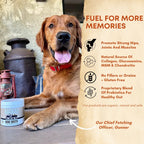 Beef Bone Broth Powder for Dogs with Probiotics, Made from Grass-Fed Bones for Savory Meal Topping