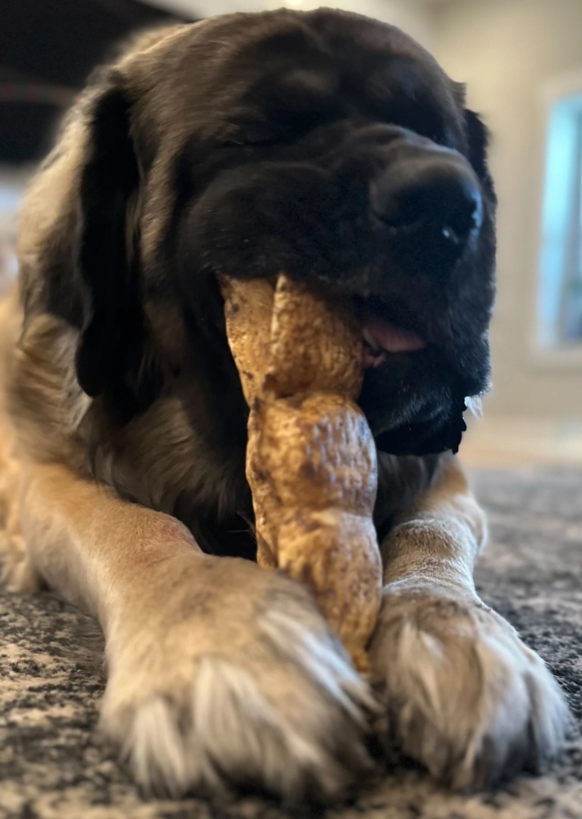 Beef Cheek Dog Chews