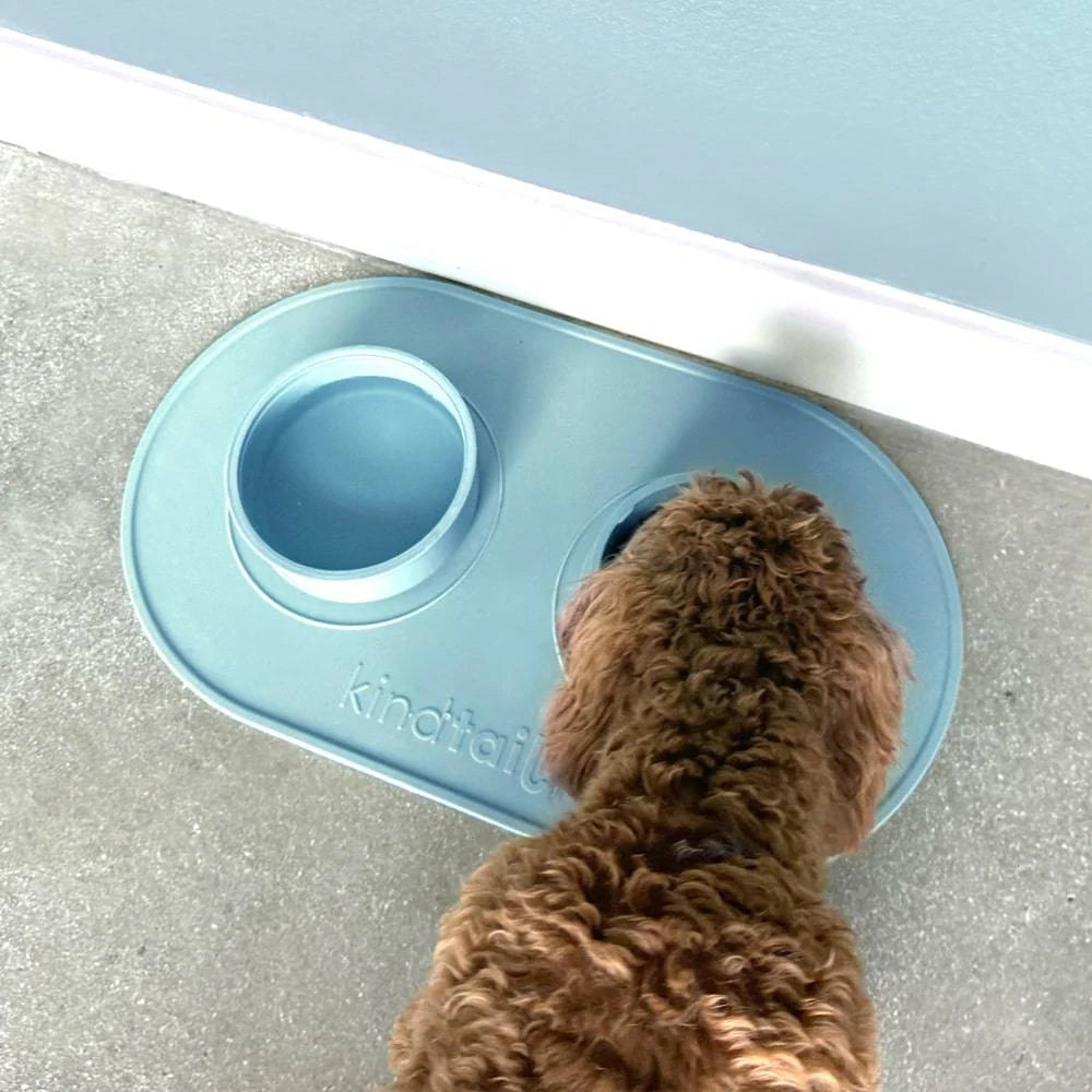 Bento-Style Travel Dog Food and Water Bowls