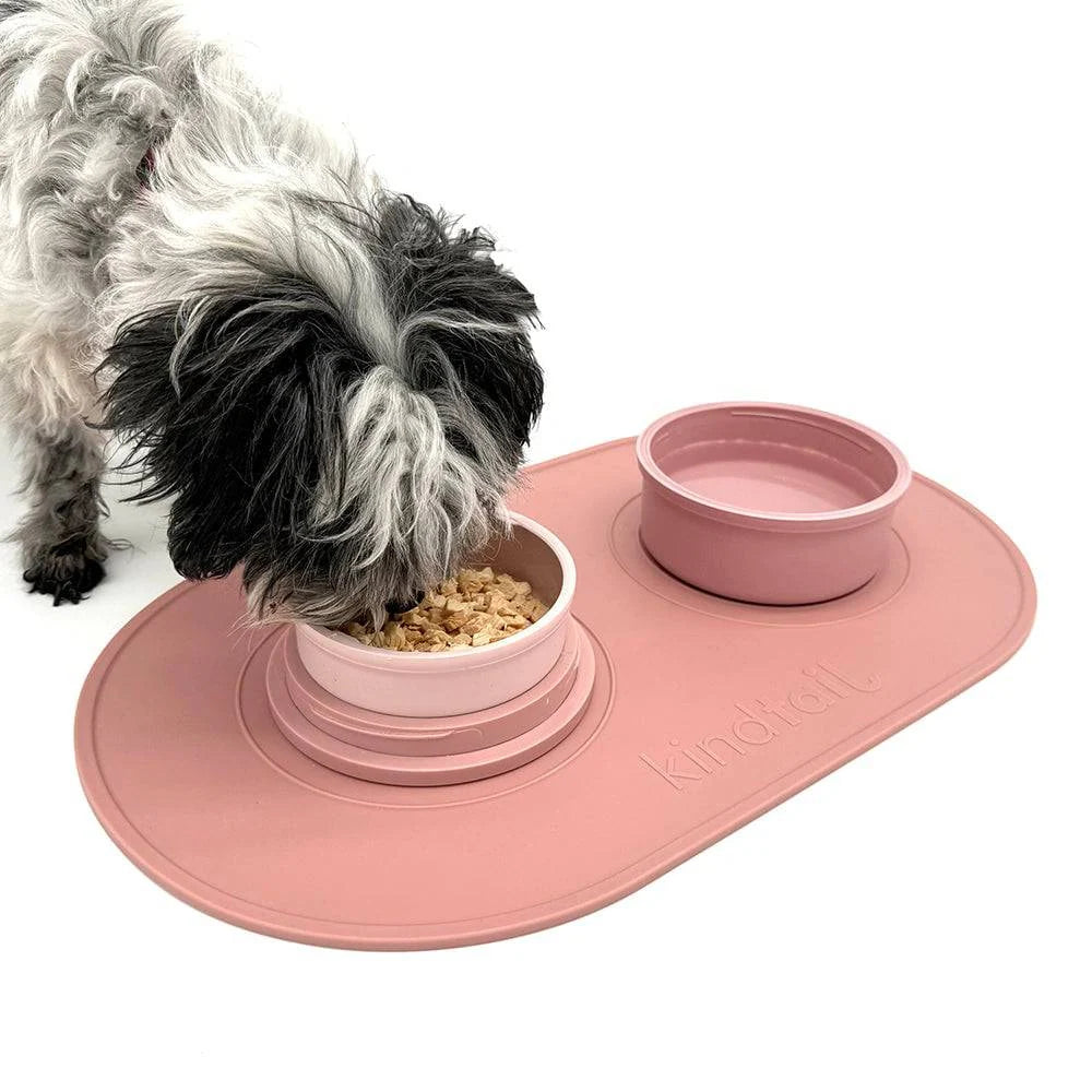 Bento-Style Travel Dog Food and Water Bowls