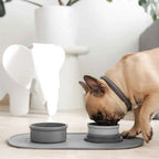 Bento-Style Travel Dog Food and Water Bowls