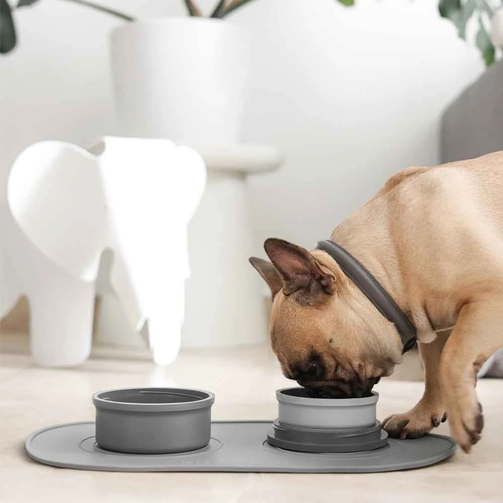 Bento-Style Travel Dog Food and Water Bowls