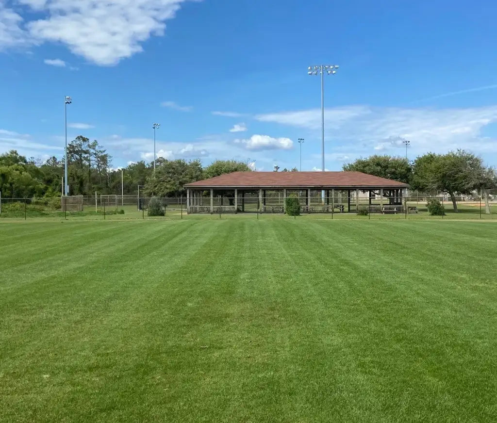 Bermuda Grass Seed, Hulled and Coated