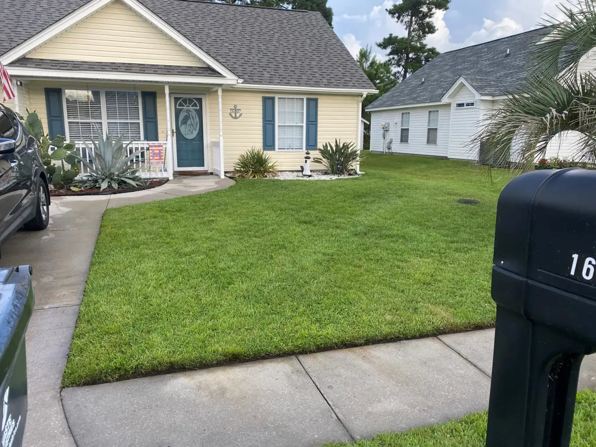 Bermuda Grass Seed, Hulled and Coated