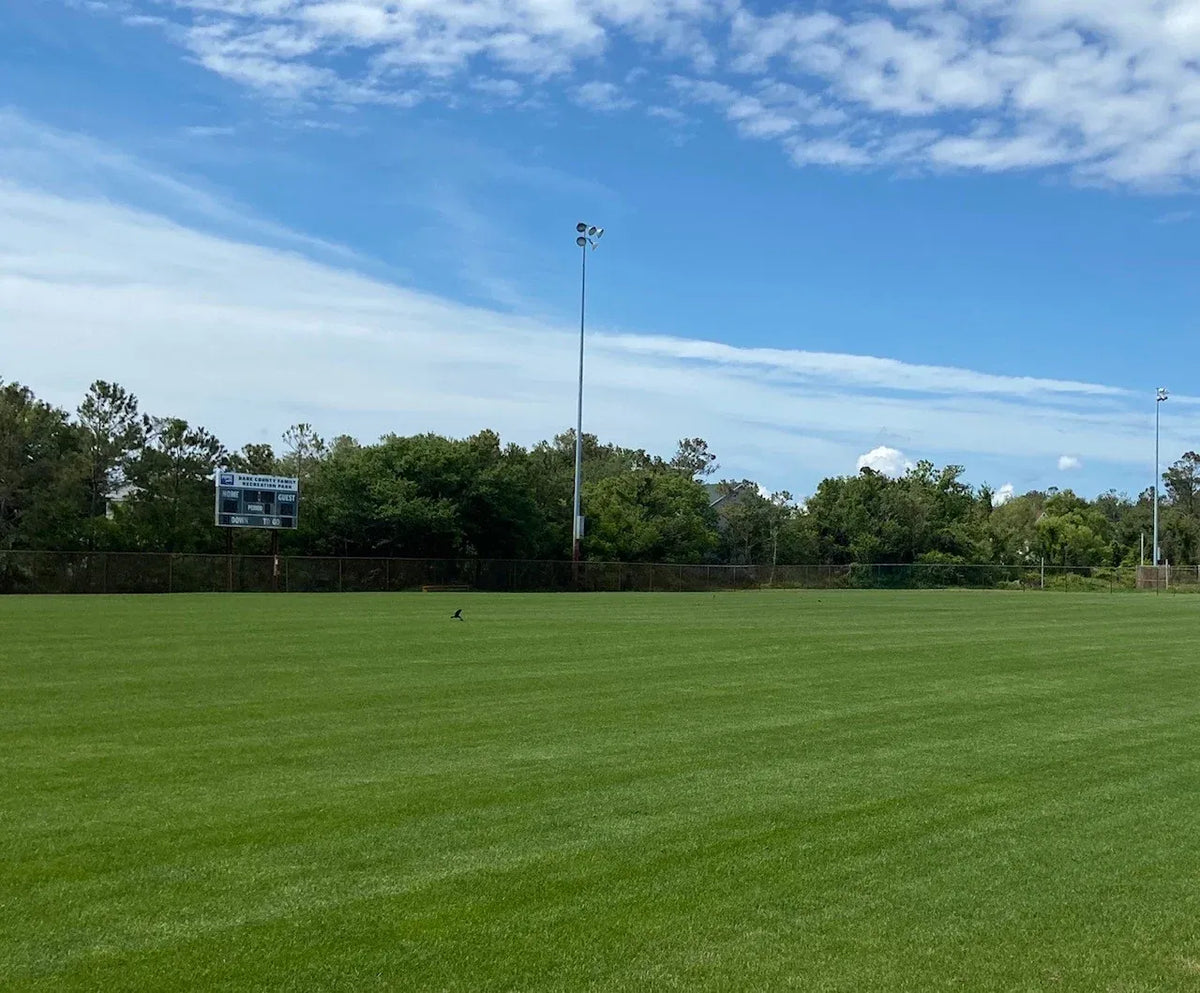 Bermuda Grass Seed, Hulled and Coated
