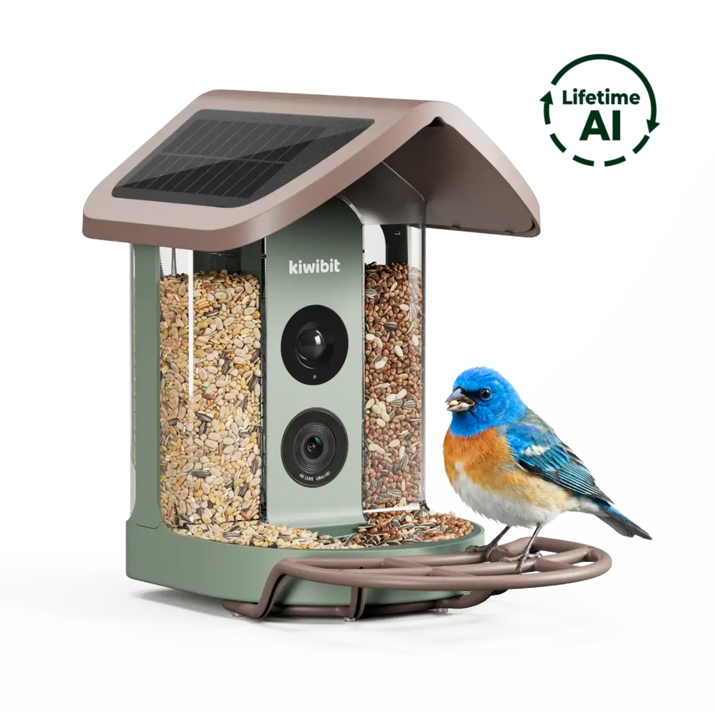 Bird Feeder