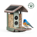 Bird Feeder