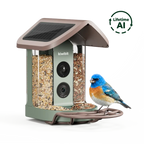 Bird Feeder