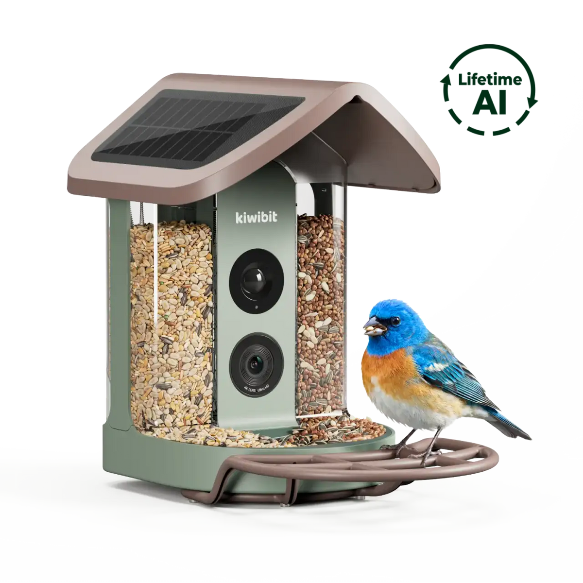 Bird Feeder