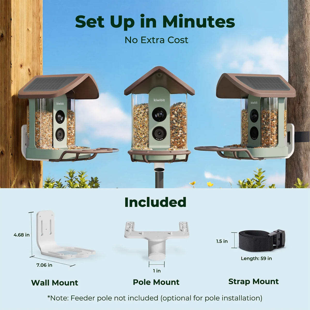Bird Feeder