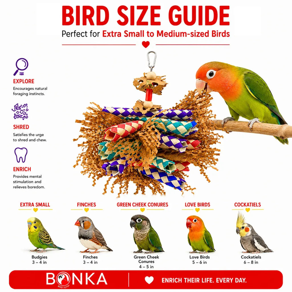 Bird Shredding Toy