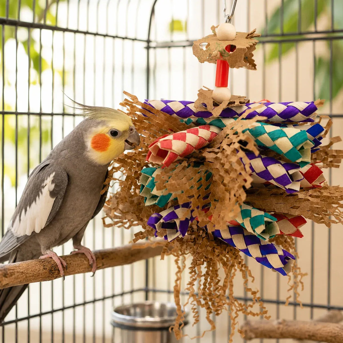 Bird Shredding Toy