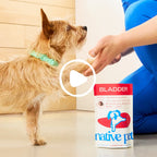 Bladder Chews
