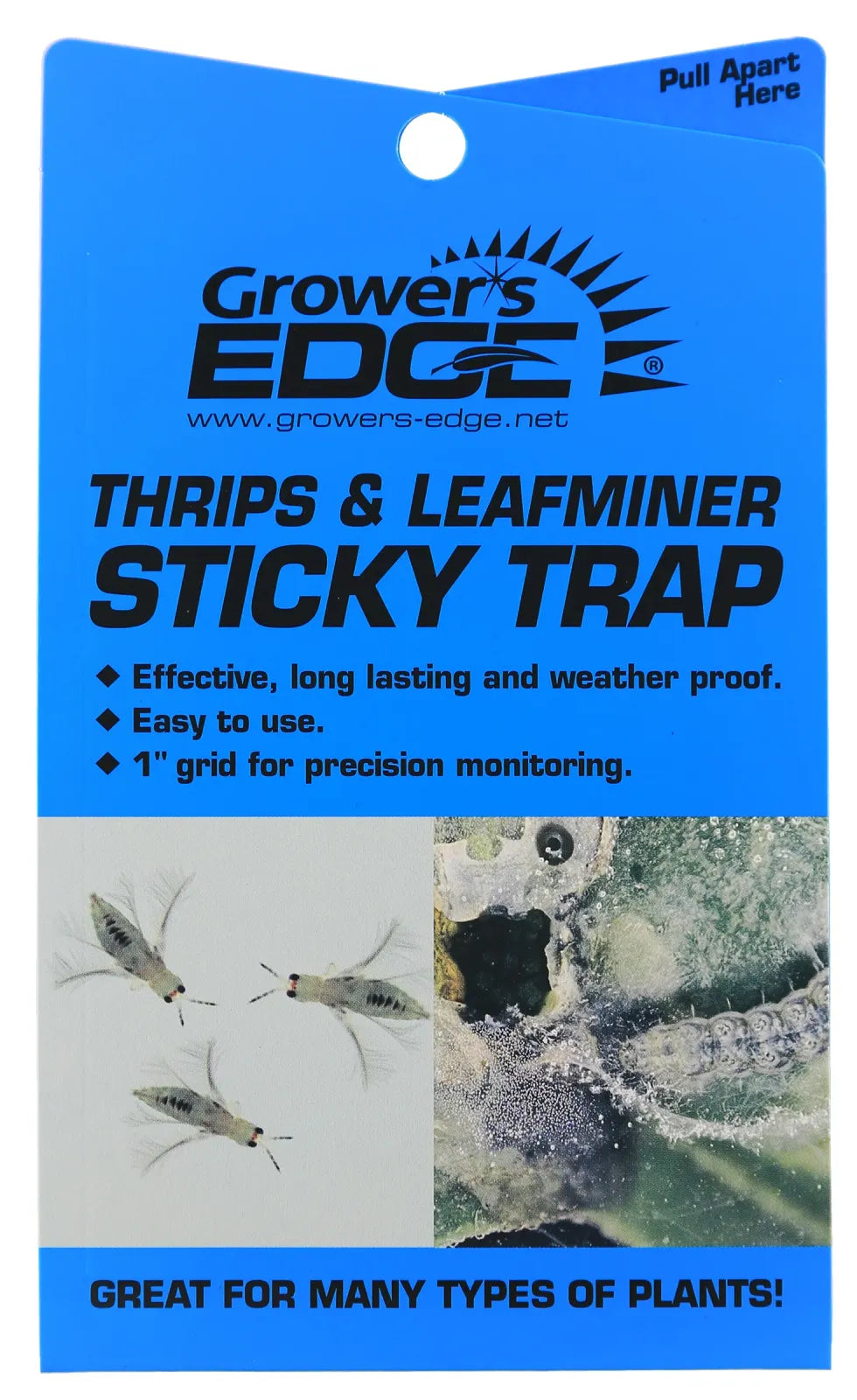 Blue Plant Sticky Traps, Sticky Thrips/Leafminer Traps - 5