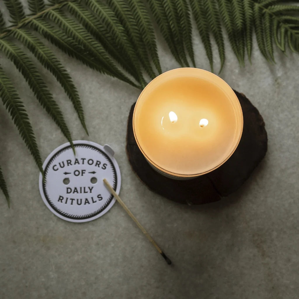 Blueberry and Vanilla Bean Scented Candle for Cozy Bedroom Rituals with Warm Tonka Notes · Wild blueberry scent