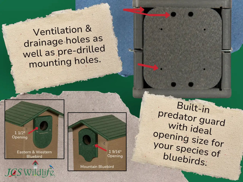 Bluebird House in Recycled Poly Lumber with a Clear Viewing Window and Separate Cleaning Door