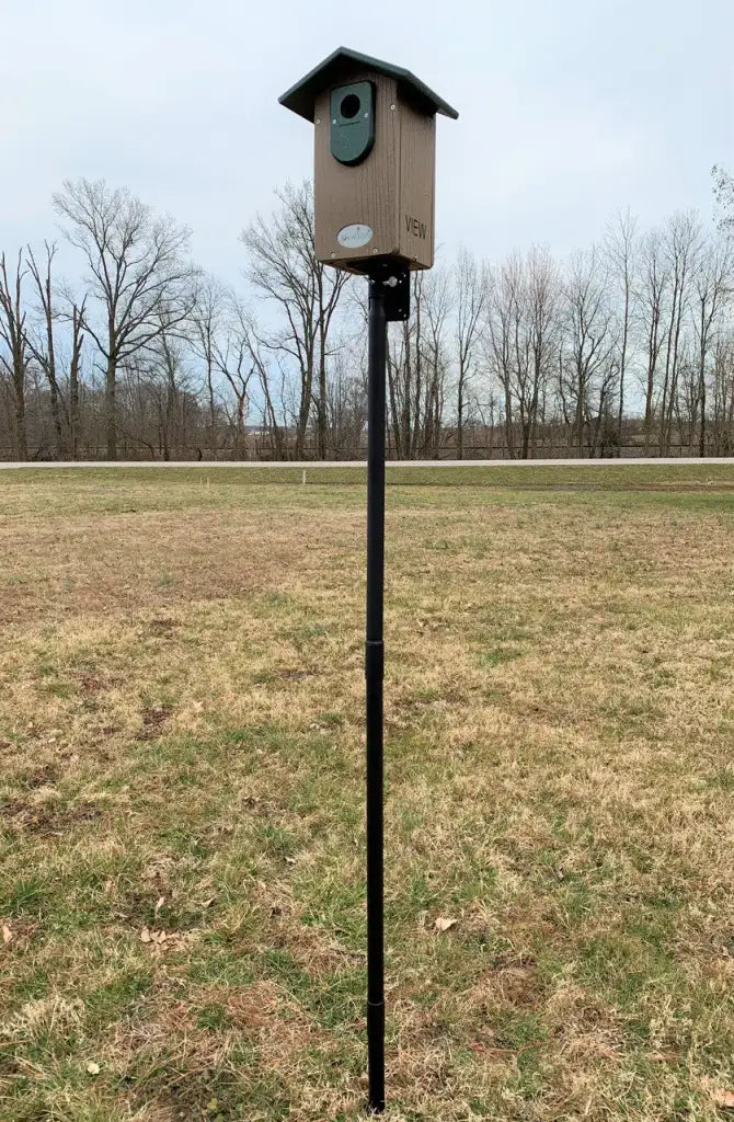 Bluebird House in Recycled Poly Lumber with a Clear Viewing Window and Separate Cleaning Door